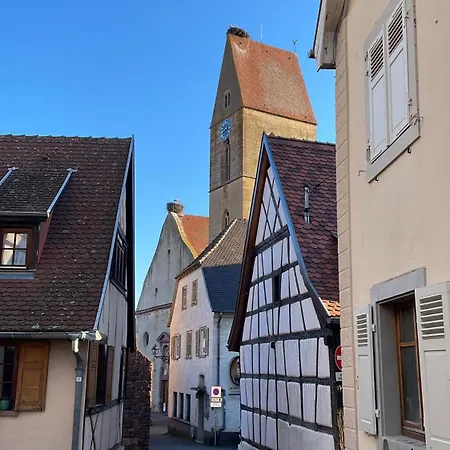 Appartement Le Ch'Ti Alsacien Eguisheim Exterior foto